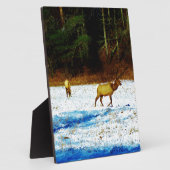 DSC00131.JPG FOTOPLATTE (Seite)