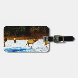 DSC00131.JPG GEPÄCKANHÄNGER