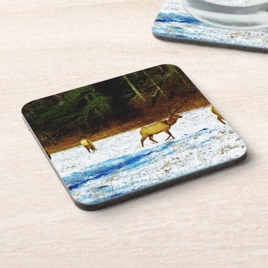 DSC00131.JPG GETRÄNKEUNTERSETZER (Linke Seite)