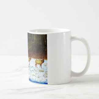 DSC00131.JPG KAFFEETASSE