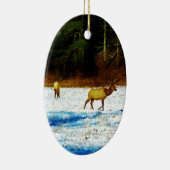 DSC00131.JPG KERAMIKORNAMENT (Rechts)