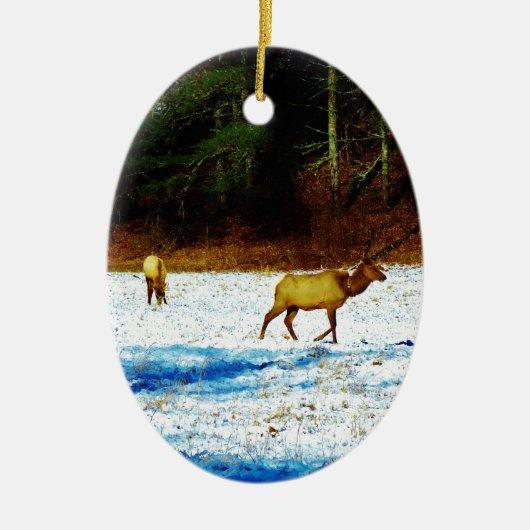 DSC00131.JPG KERAMIKORNAMENT (Vorne)