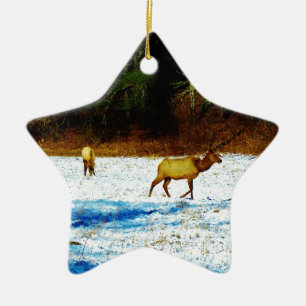 DSC00131.JPG KERAMIKORNAMENT