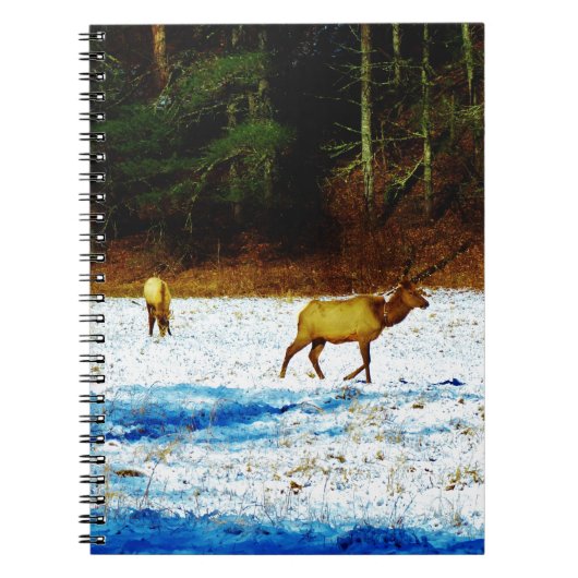 DSC00131.JPG NOTIZBLOCK (Vorderseite)