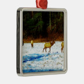 DSC00131.JPG ORNAMENT AUS METALL (Rechts)