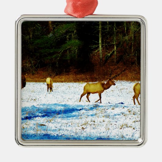 DSC00131.JPG ORNAMENT AUS METALL (Vorne)