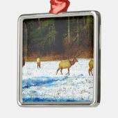 DSC00131.JPG ORNAMENT AUS METALL (Links)