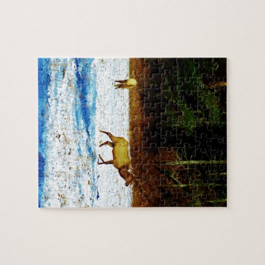 DSC00131.JPG PUZZLE (Horizontal)