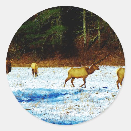 DSC00131.JPG RUNDER AUFKLEBER (Vorderseite)