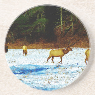 DSC00131.JPG SANDSTEIN UNTERSETZER