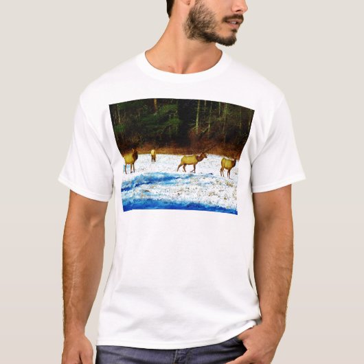 DSC00131.JPG T-Shirt (Vorderseite)