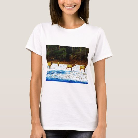 DSC00131.JPG T-Shirt (Vorderseite)