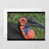 DSC00171 POSTKARTE (Vorne/Hinten)