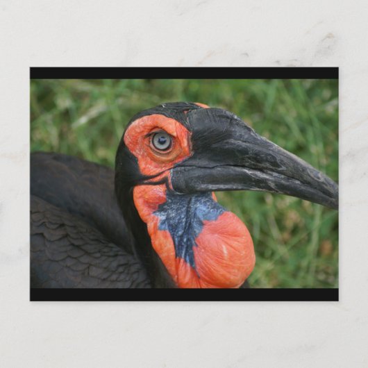 DSC00171 POSTKARTE (Vorderseite)