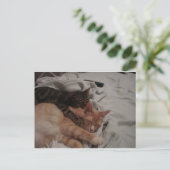 DSC00178[1] (2) POSTKARTE (Stehend Vorderseite)