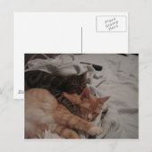 DSC00178[1] (2) POSTKARTE (Vorne/Hinten)