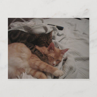 DSC00178[1] (2) POSTKARTE