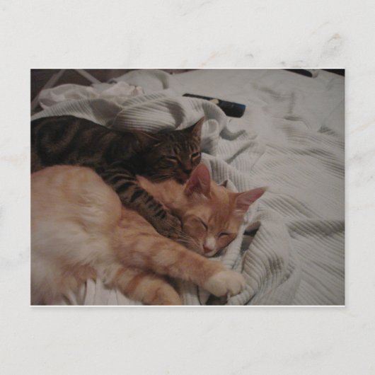 DSC00178[1] (2) POSTKARTE (Vorderseite)