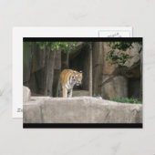 DSC00222 POSTKARTE (Vorne/Hinten)