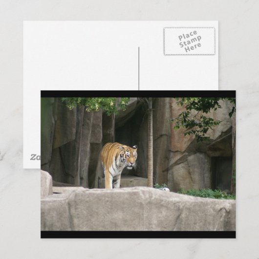 DSC00222 POSTKARTE (Vorne/Hinten)