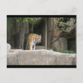 DSC00222 POSTKARTE (Vorderseite)