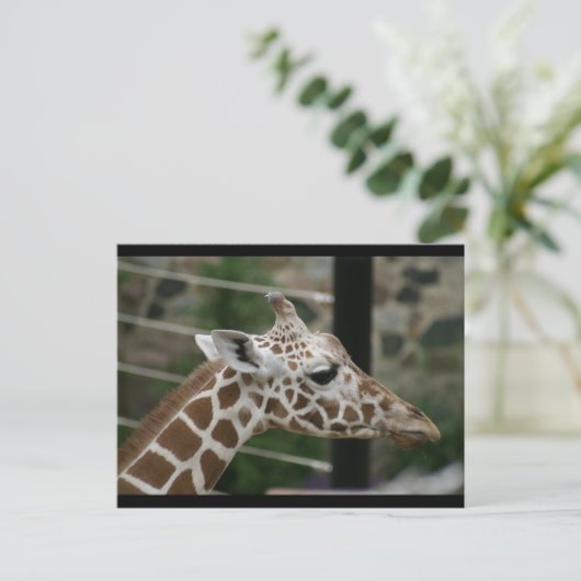 DSC00238 POSTKARTE (Stehend Vorderseite)