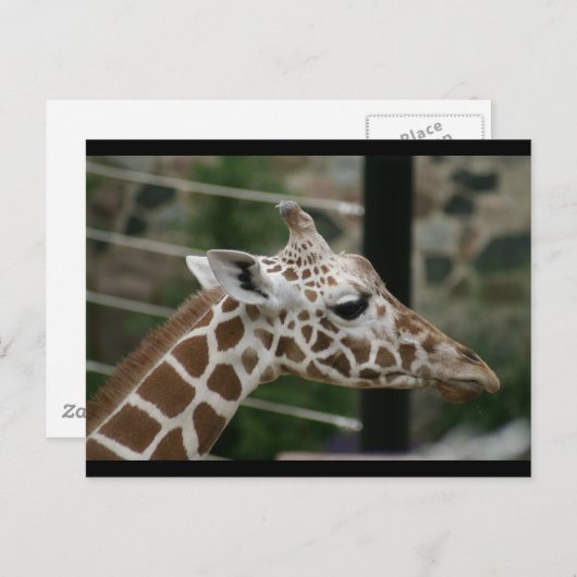 DSC00238 POSTKARTE (Vorne/Hinten)