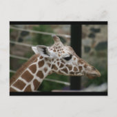 DSC00238 POSTKARTE (Vorderseite)