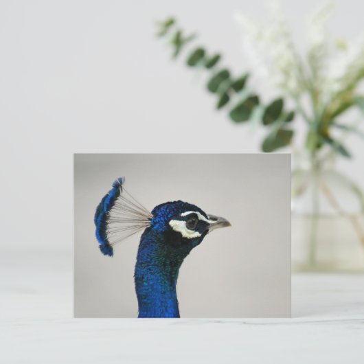 DSC00292 POSTKARTE (Stehend Vorderseite)