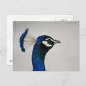 DSC00292 POSTKARTE (Vorne/Hinten)