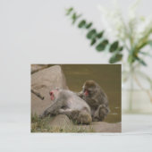 DSC00342 POSTKARTE (Stehend Vorderseite)