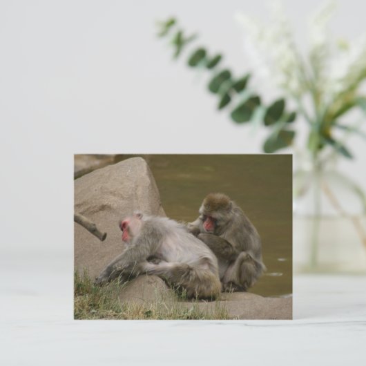 DSC00342 POSTKARTE (Stehend Vorderseite)