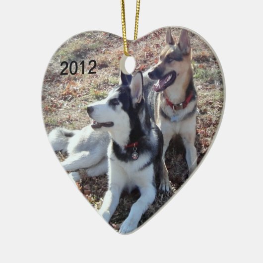 DSC00345a.jpg, 2012 Keramik Ornament (Links)