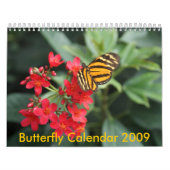 DSC00452, Schmetterlings-Kalender 2009 Kalender (Titelbild)