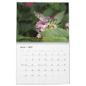 DSC00452, Schmetterlings-Kalender 2009 Kalender (Mär 2027)