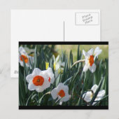 DSC01730 a Postkarte (Vorne/Hinten)