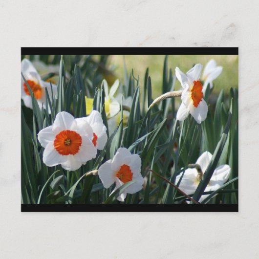 DSC01730 a Postkarte (Vorderseite)