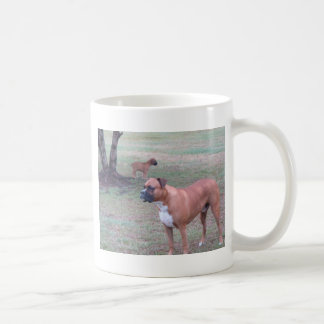 DSC02049 KAFFEETASSE