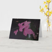 DSC02372 KARTE (Gelbe Blume)