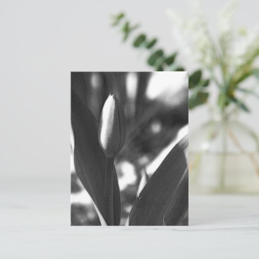 DSC02422 c Postkarte (Stehend Vorderseite)