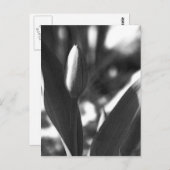 DSC02422 c Postkarte (Vorne/Hinten)