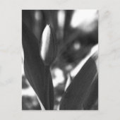 DSC02422 c Postkarte (Vorderseite)