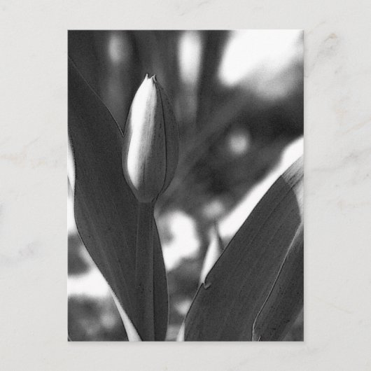 DSC02422 c Postkarte (Vorderseite)