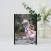 DSC02490 POSTKARTE (Stehend Vorderseite)