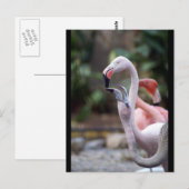 DSC02490 POSTKARTE (Vorne/Hinten)