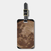 DSC02662.JPG GEPÄCKANHÄNGER (Vorderseite vertikal)