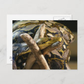 DSC04222 POSTKARTE (Vorne/Hinten)