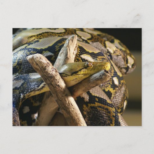 DSC04222 POSTKARTE (Vorderseite)