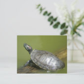 DSC04275 POSTKARTE (Stehend Vorderseite)