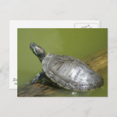 DSC04275 POSTKARTE (Vorne/Hinten)